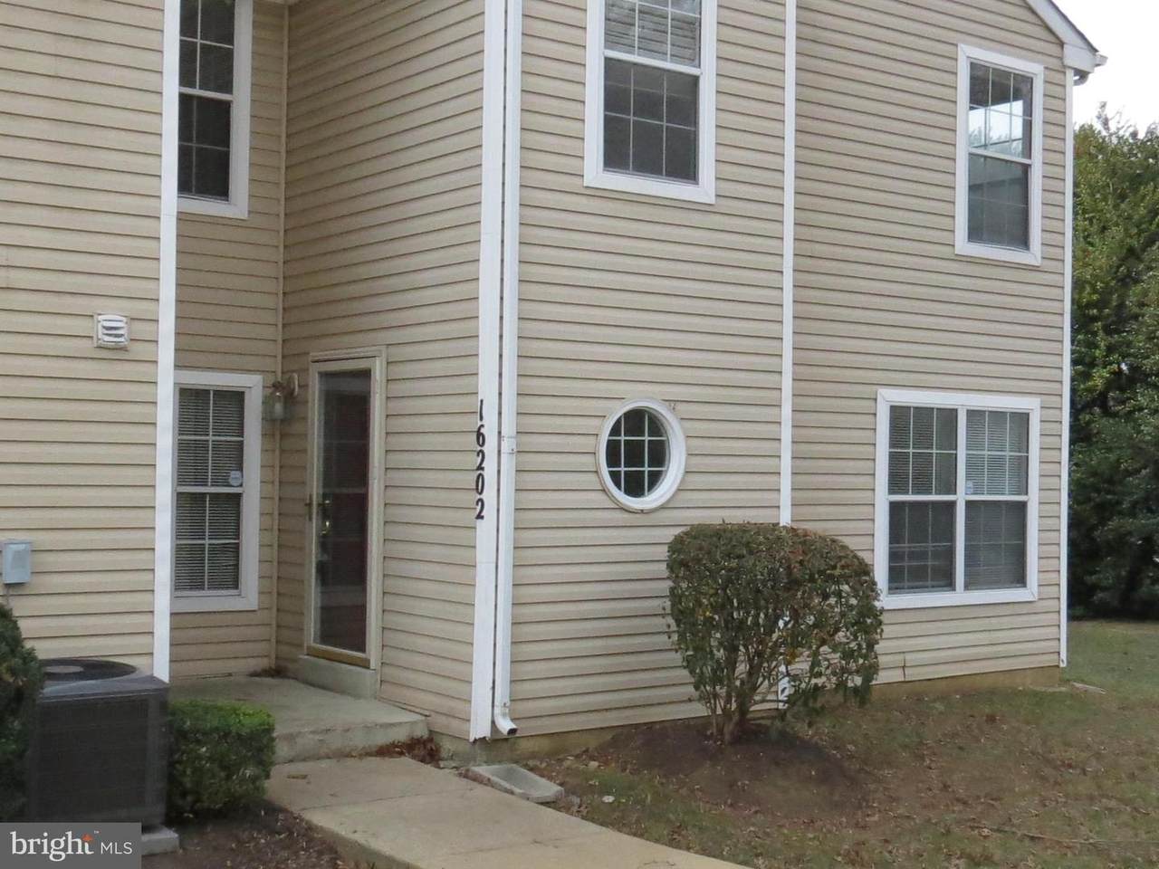 16202 Ellipse Terrace - Photo 1