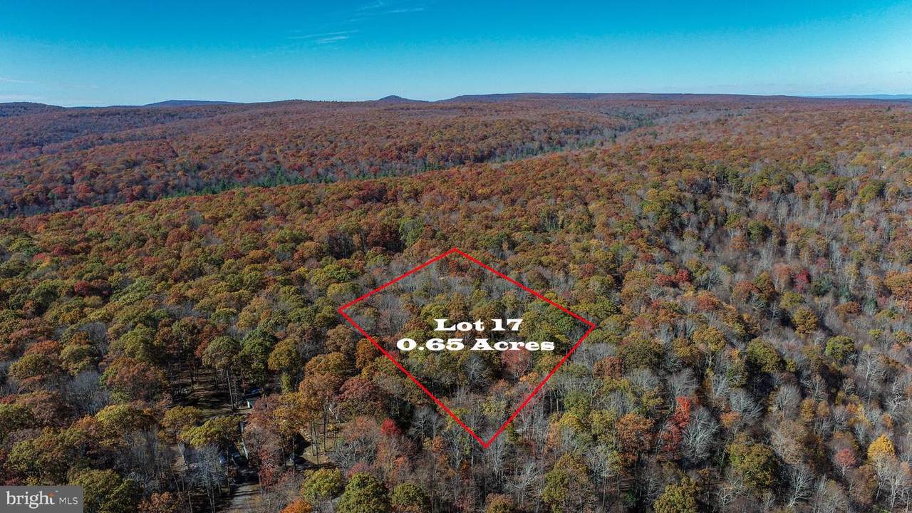 Lot 17 Birchwood Drive - Photo 1