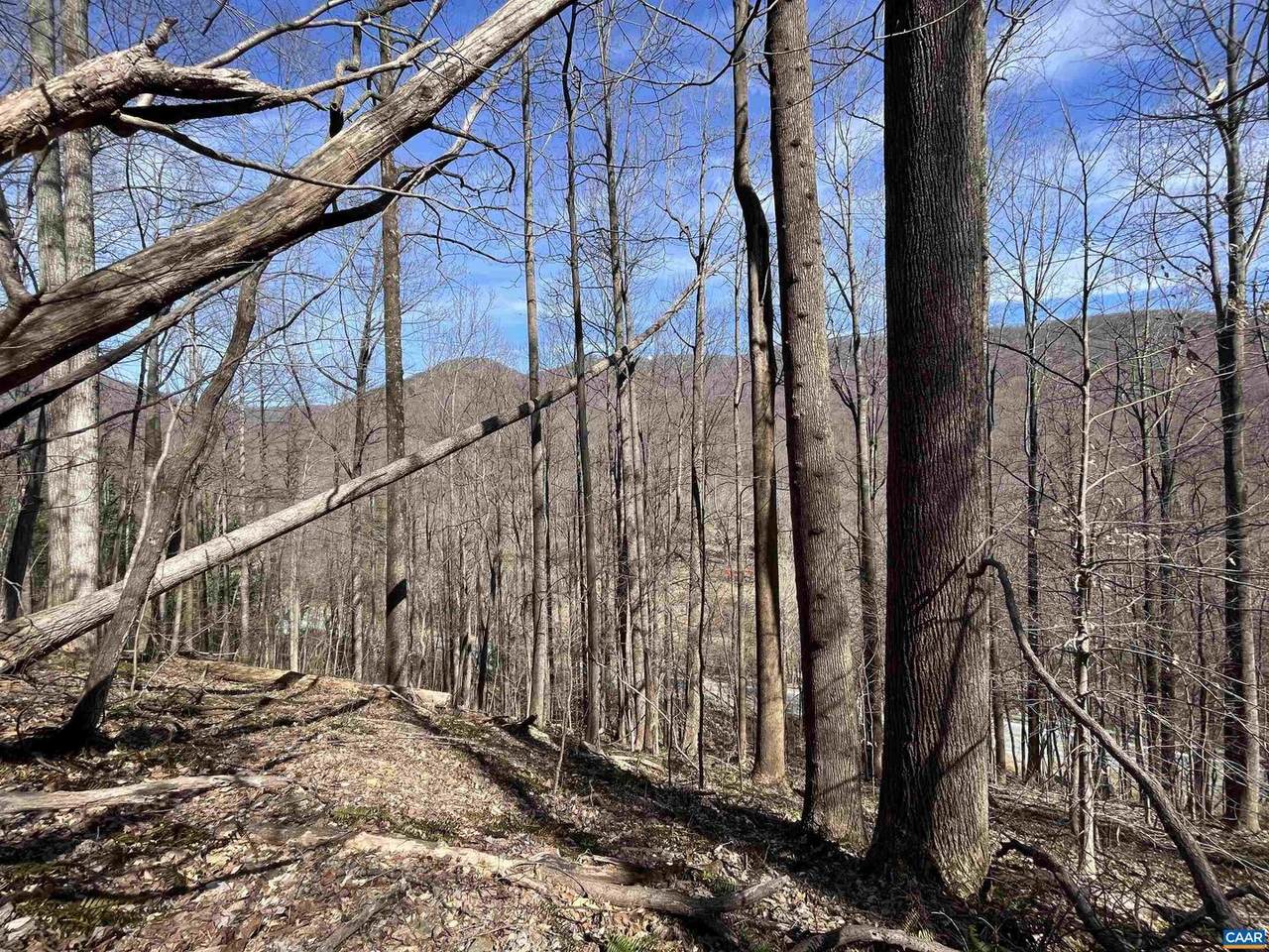 TBD Beech Grove Rd - Photo 1