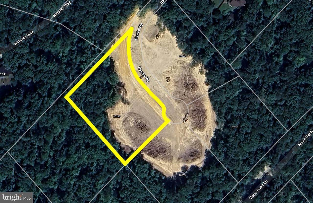 20265 Hawks Way - Photo 1