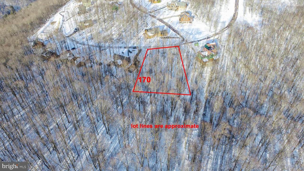 170 Fork Run Trail - Photo 1