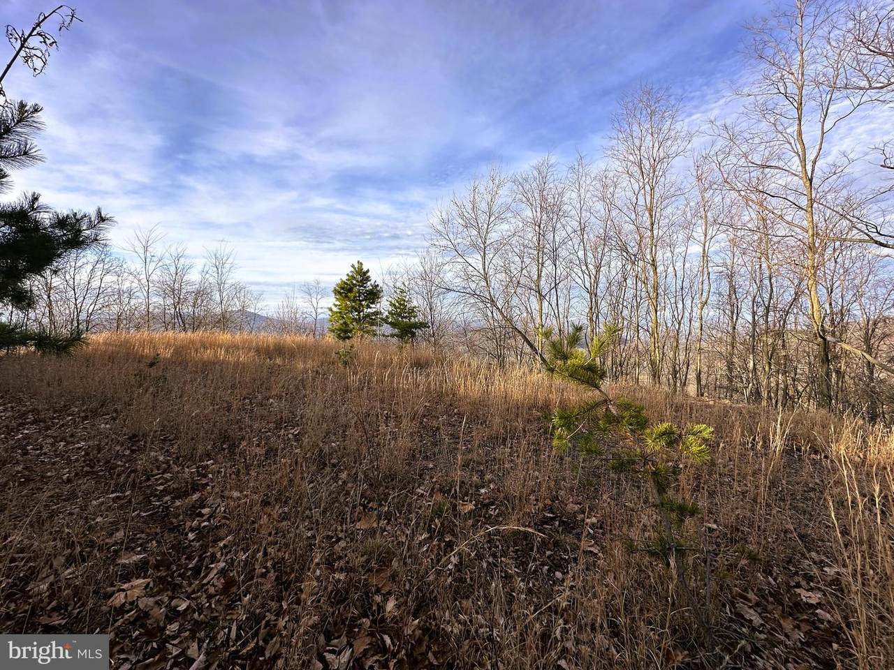  333 ASHTON WOODS - Photo 1