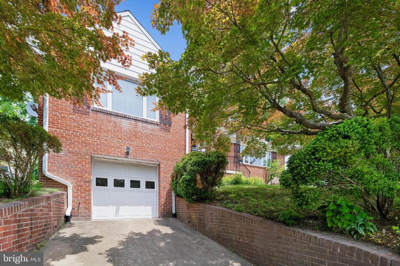 3113 Birch Street - Photo 1