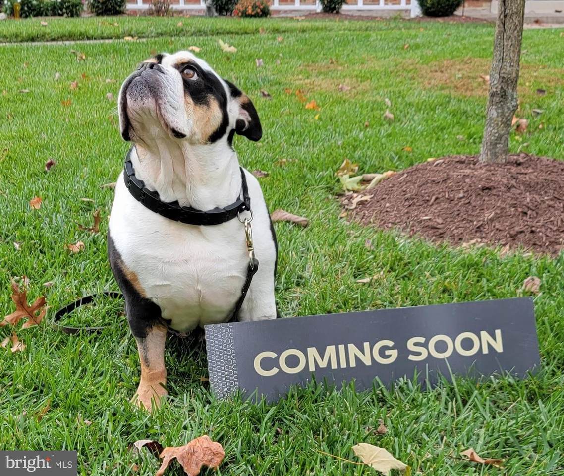 208 Water Fountain Court - Photo 1