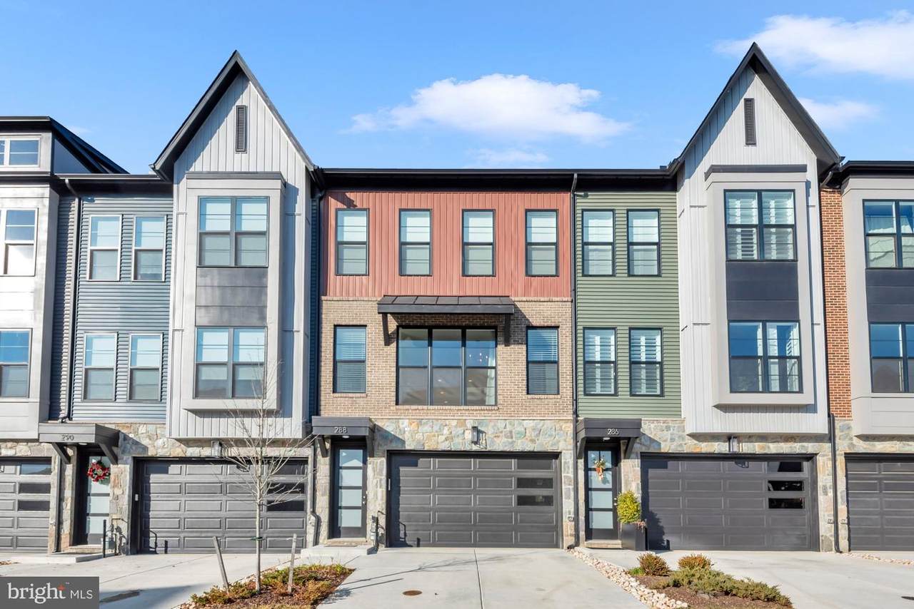 288 Alluvium Dr - Photo 1