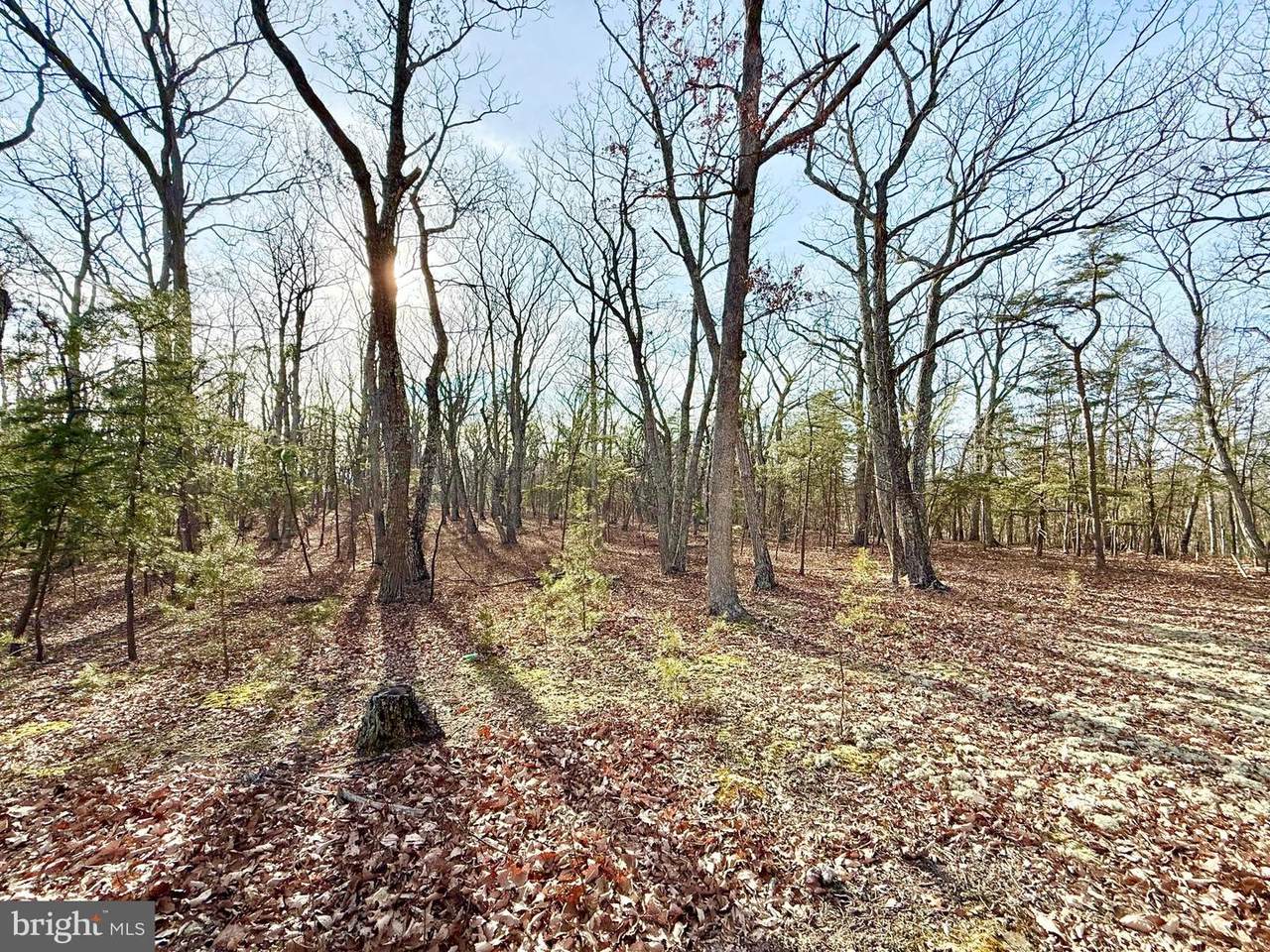  Snickerdoodle Lane - Photo 1