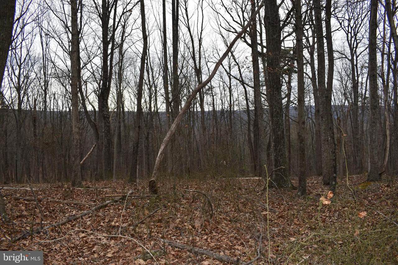 58 Birch Grove Lane - Photo 1