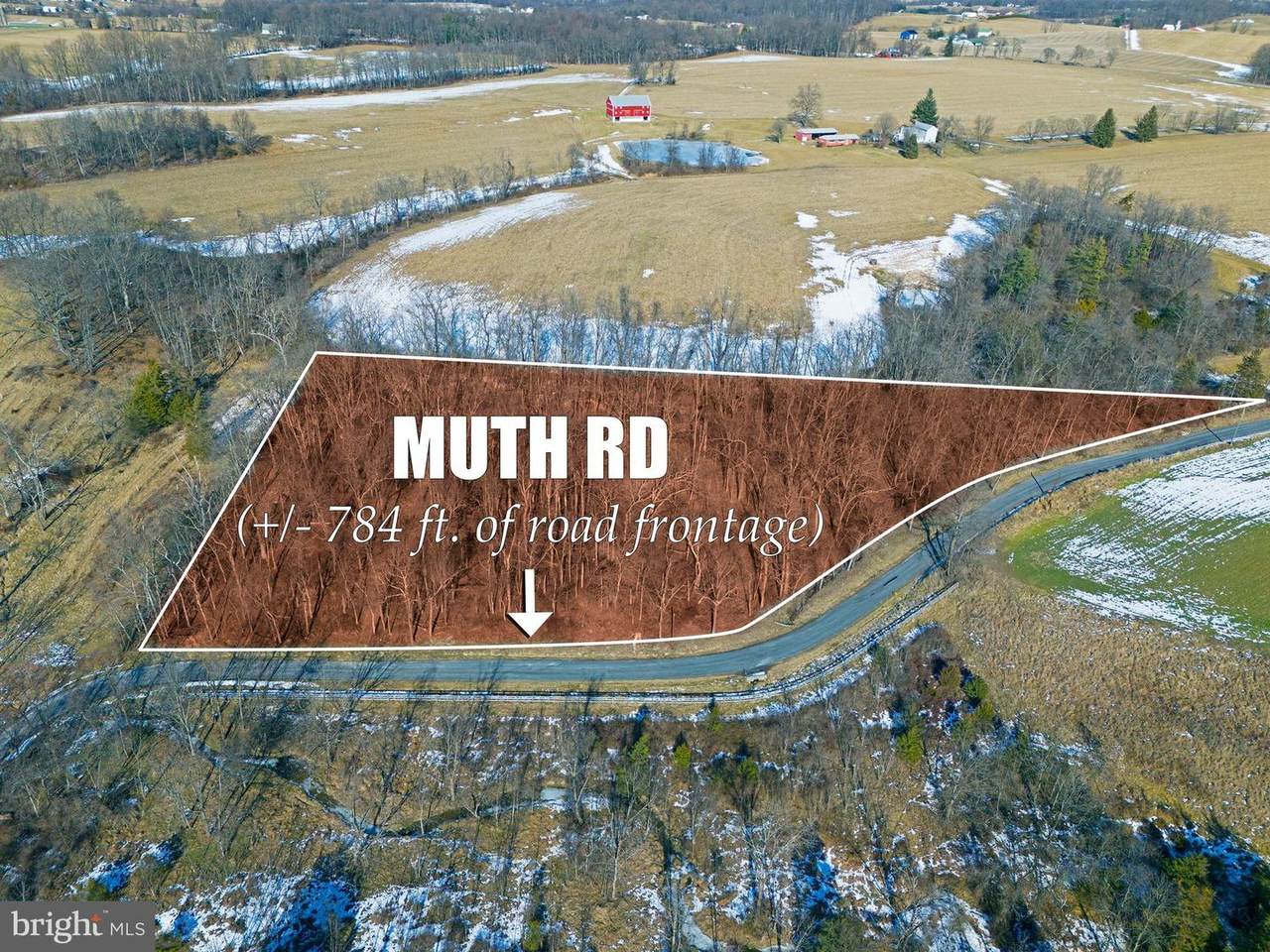  Muth Road - Photo 1