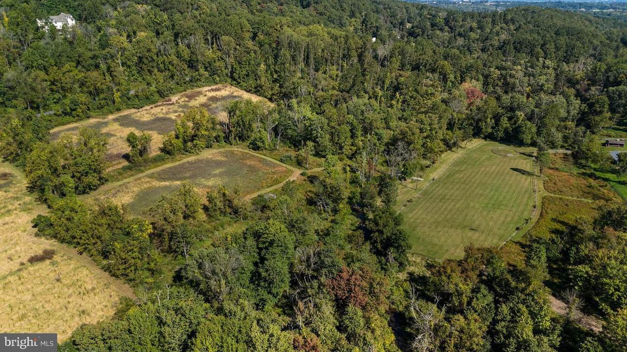 1550 Sheeder Mill Road - Photo 1