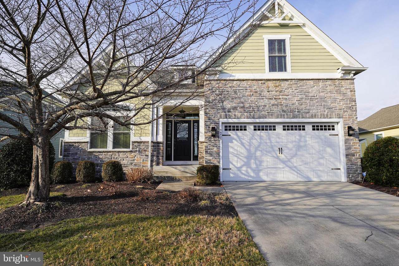 36525 Wild Rose Circle - Photo 1