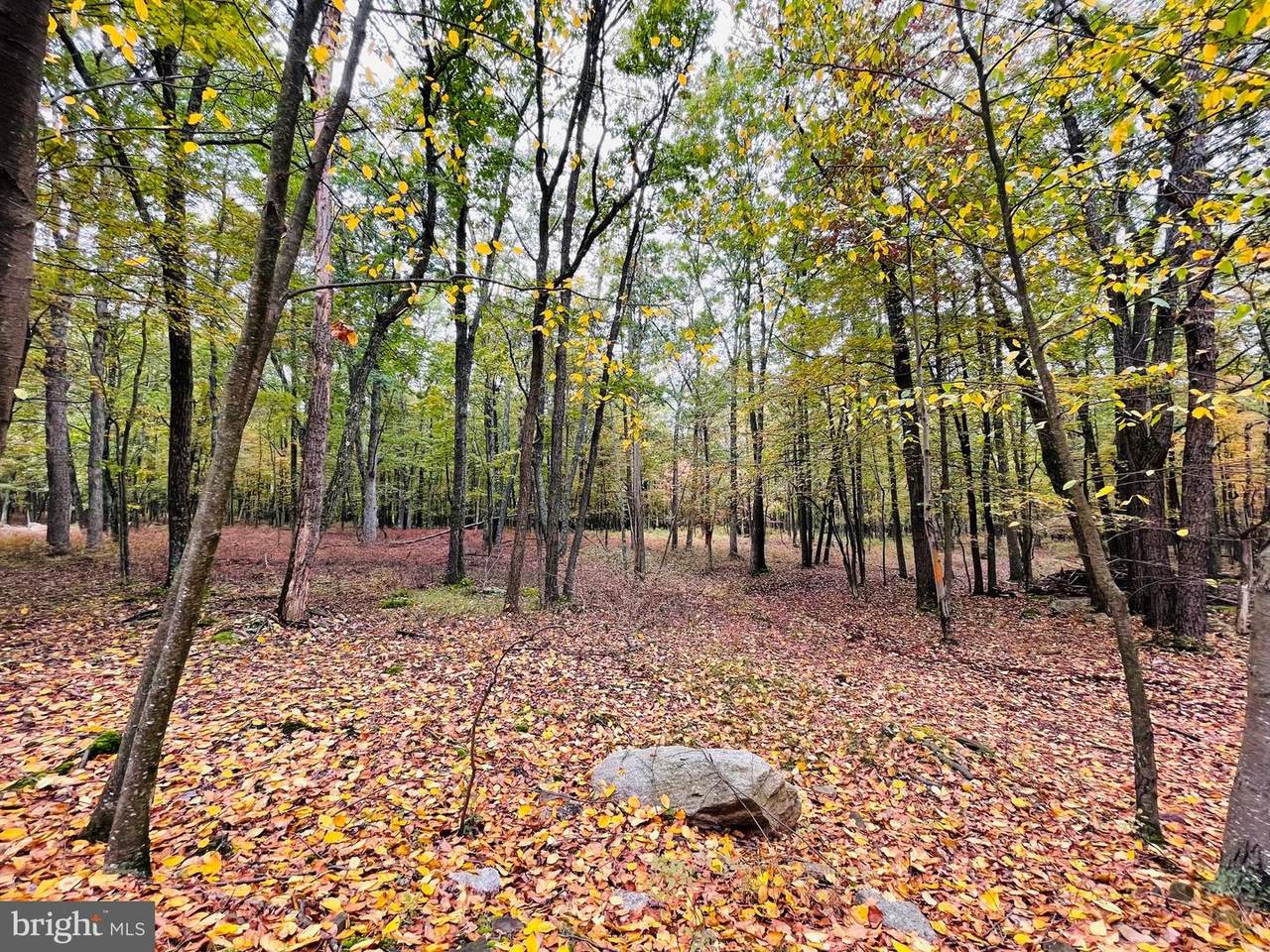 521 Haystack Drive - Photo 1