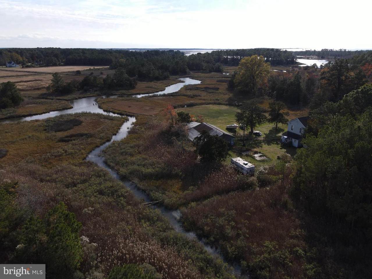 10407 William Sharpless Road - Photo 1