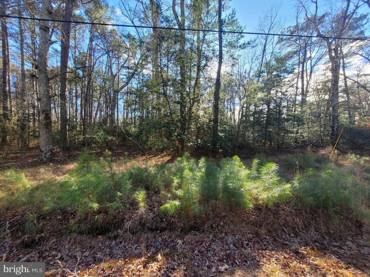 00-LOT 82 Elmington Place - Photo 1