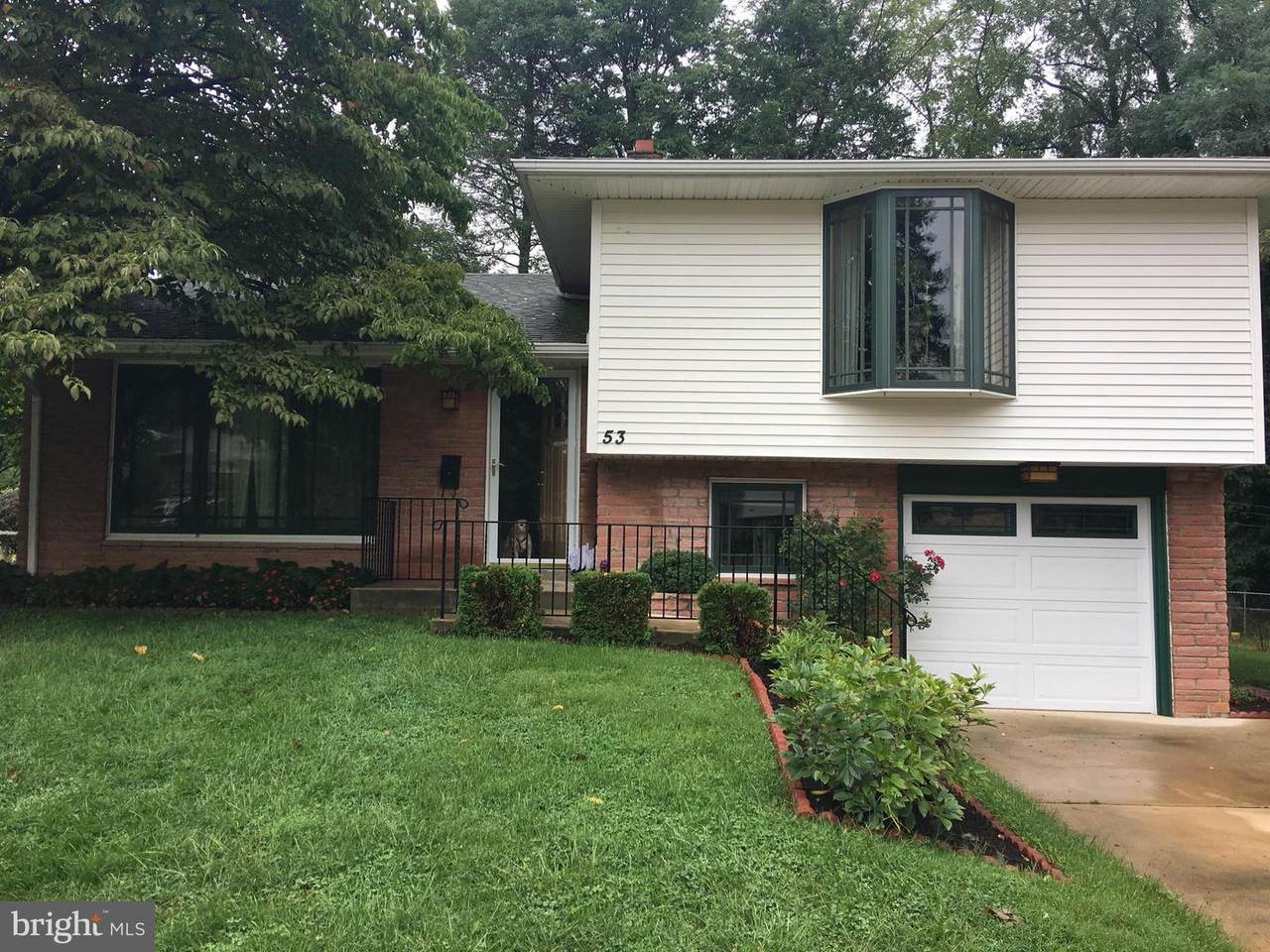 53 Eldon Avenue - Photo 1