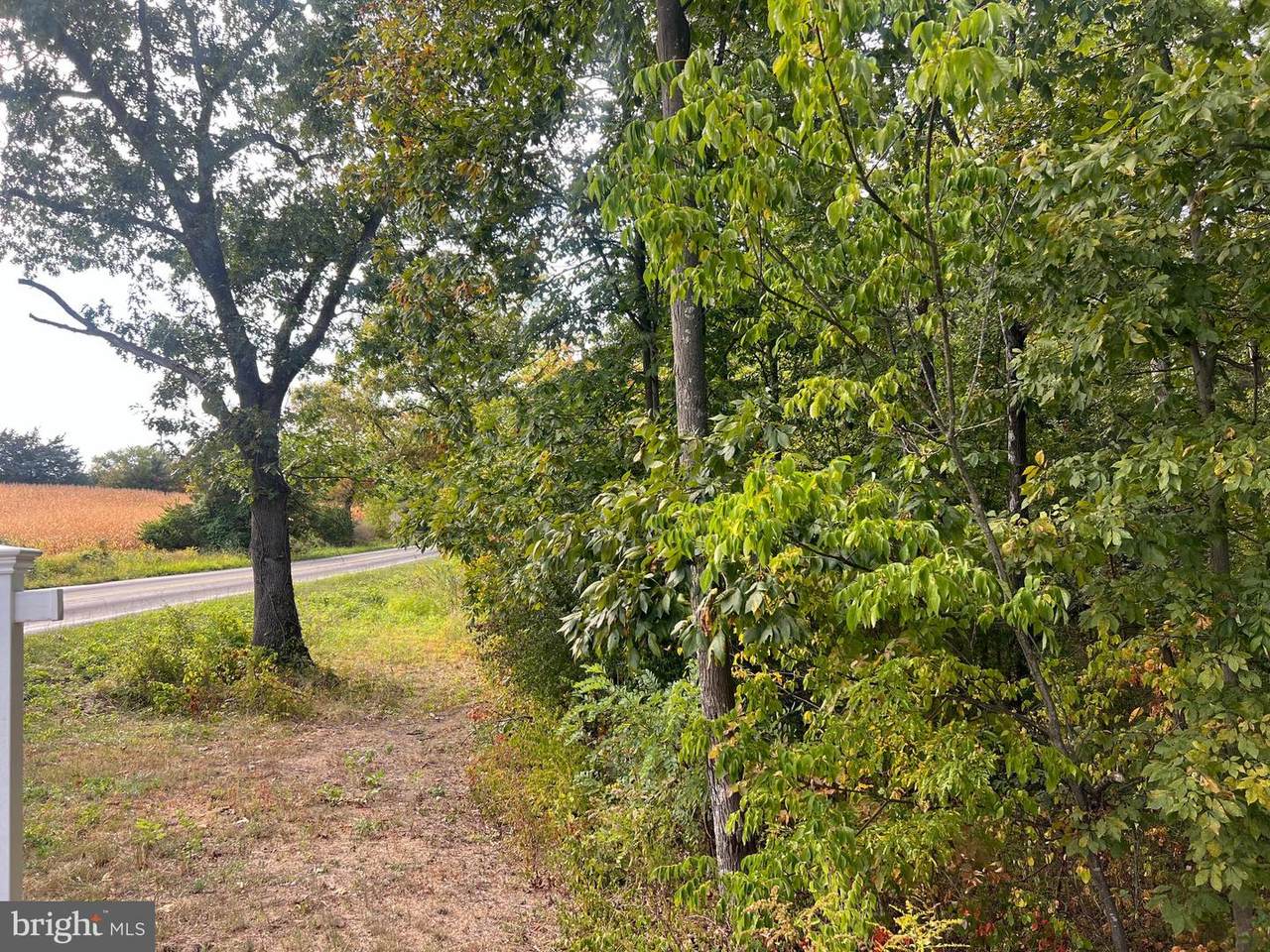 Lot 2 Covey Lane - Photo 1