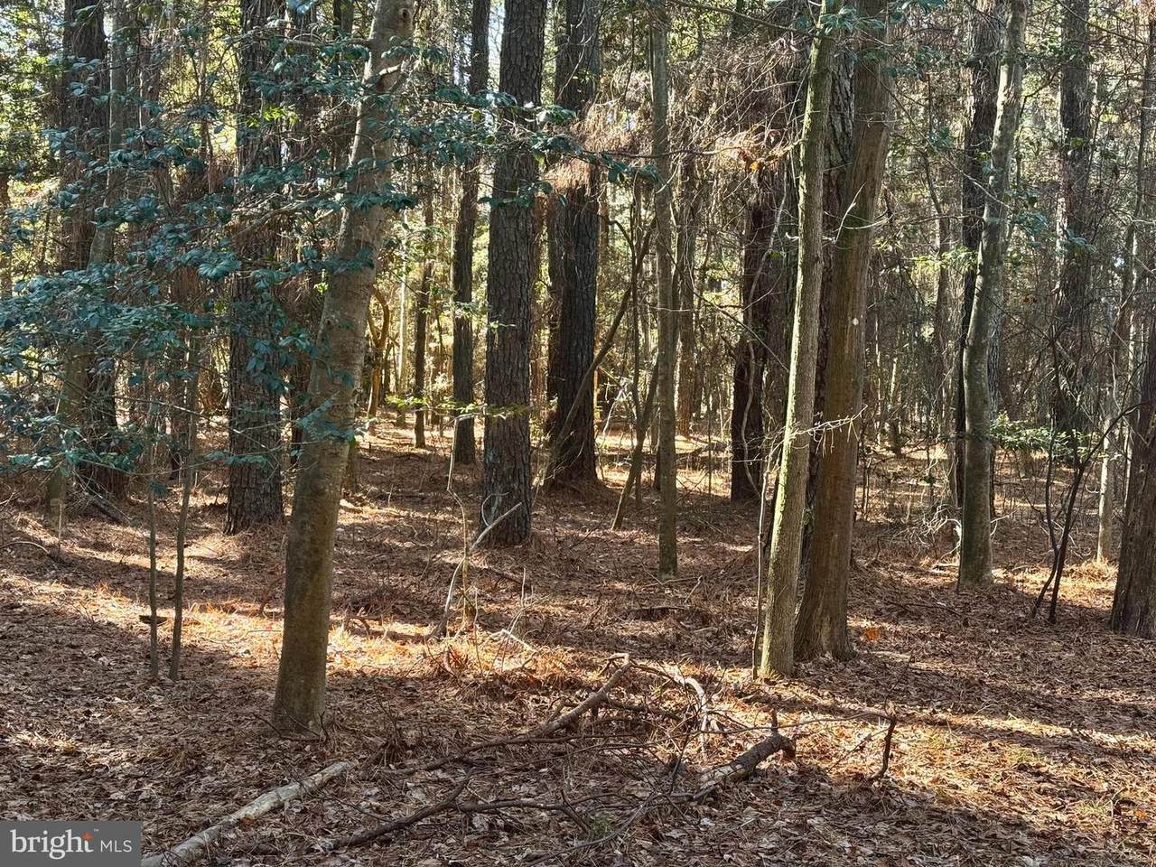 Lot 831 Castaway Drive - Photo 1
