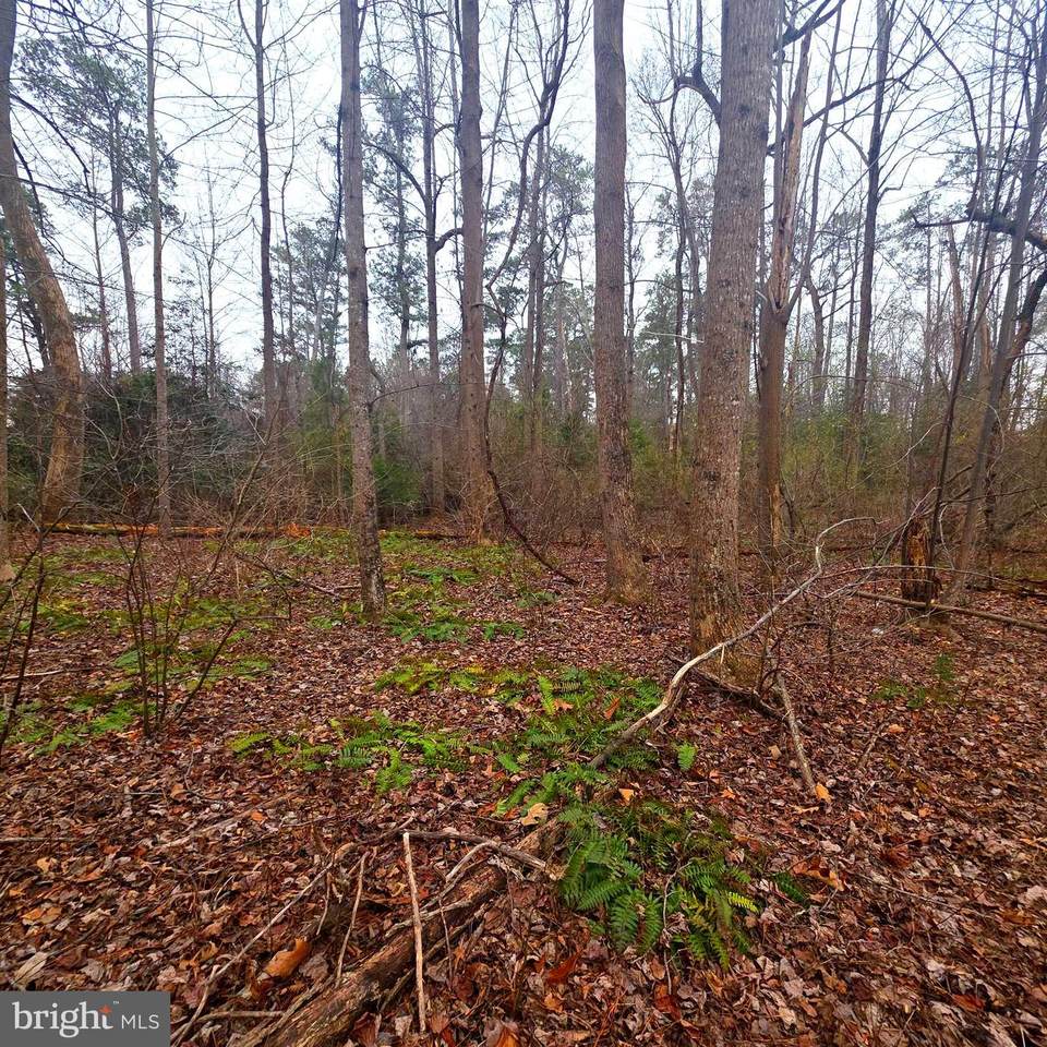  W Highview Dr Lot 134 - Photo 1