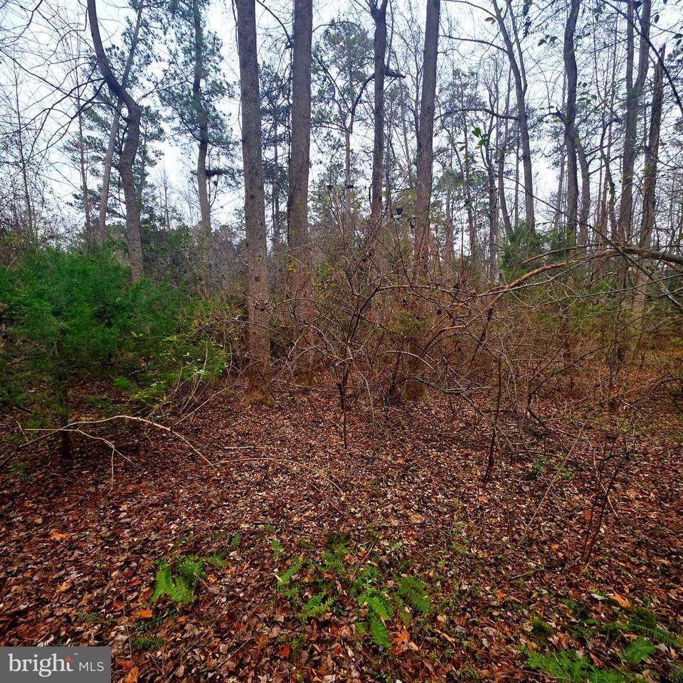  W Highview Dr Lot 135 - Photo 1