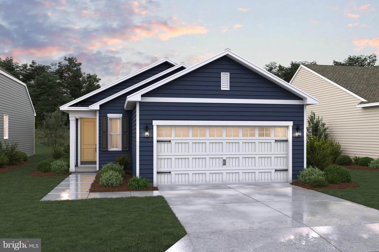 29403 Jobes Street - Photo 1