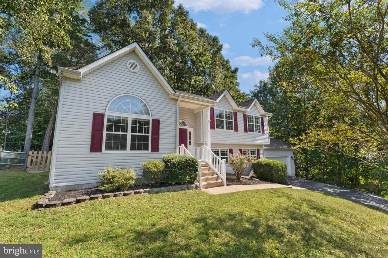 8507 Passapatanzy Road - Photo 1