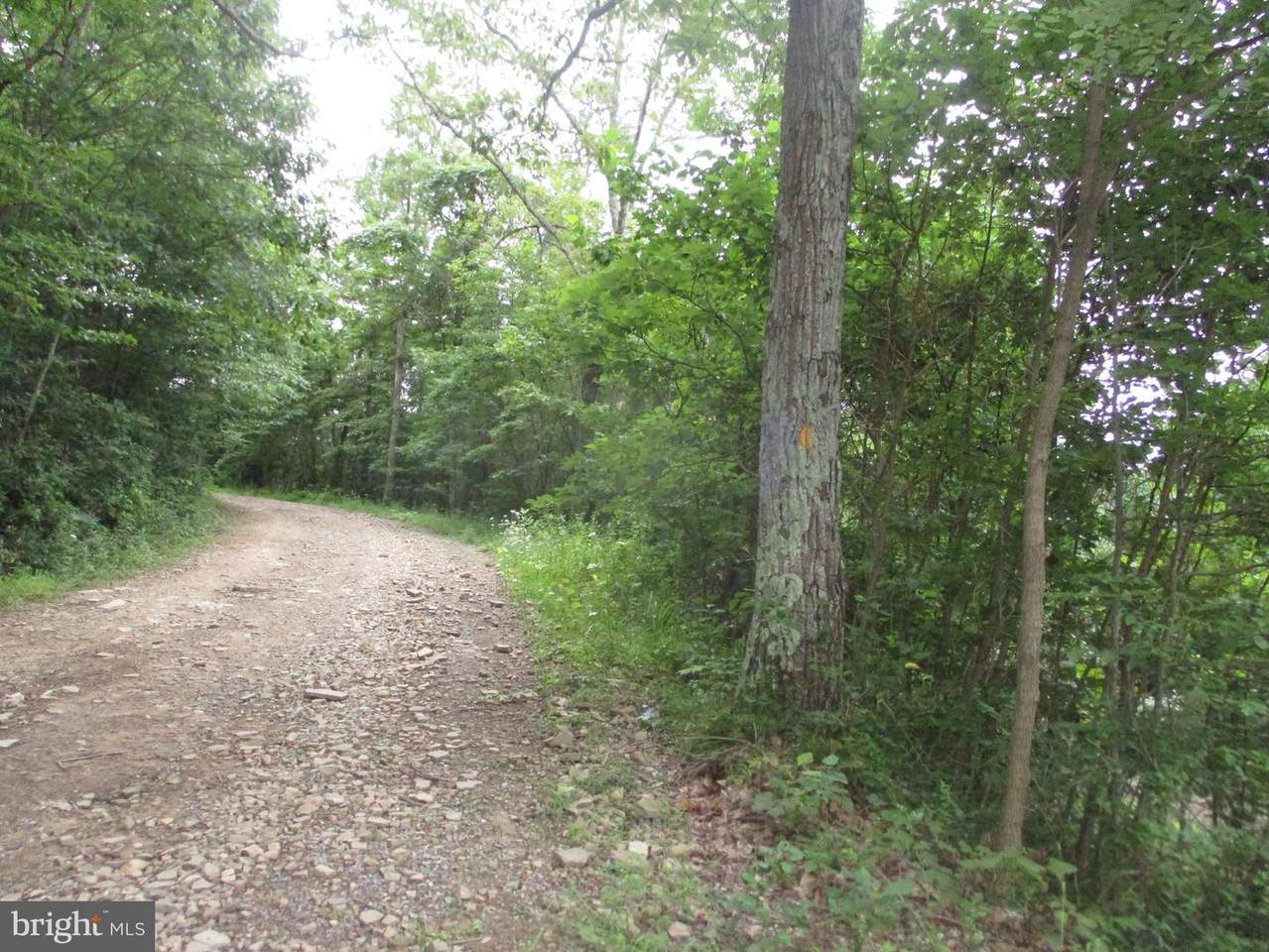 1000 Snake Rd - Photo 1