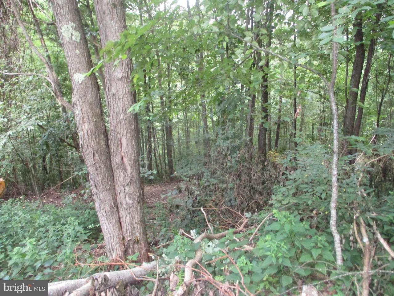 https://bt-photos.global.ssl.fastly.net/brightmls/1280_boomver_1_804470007484-2.jpg
