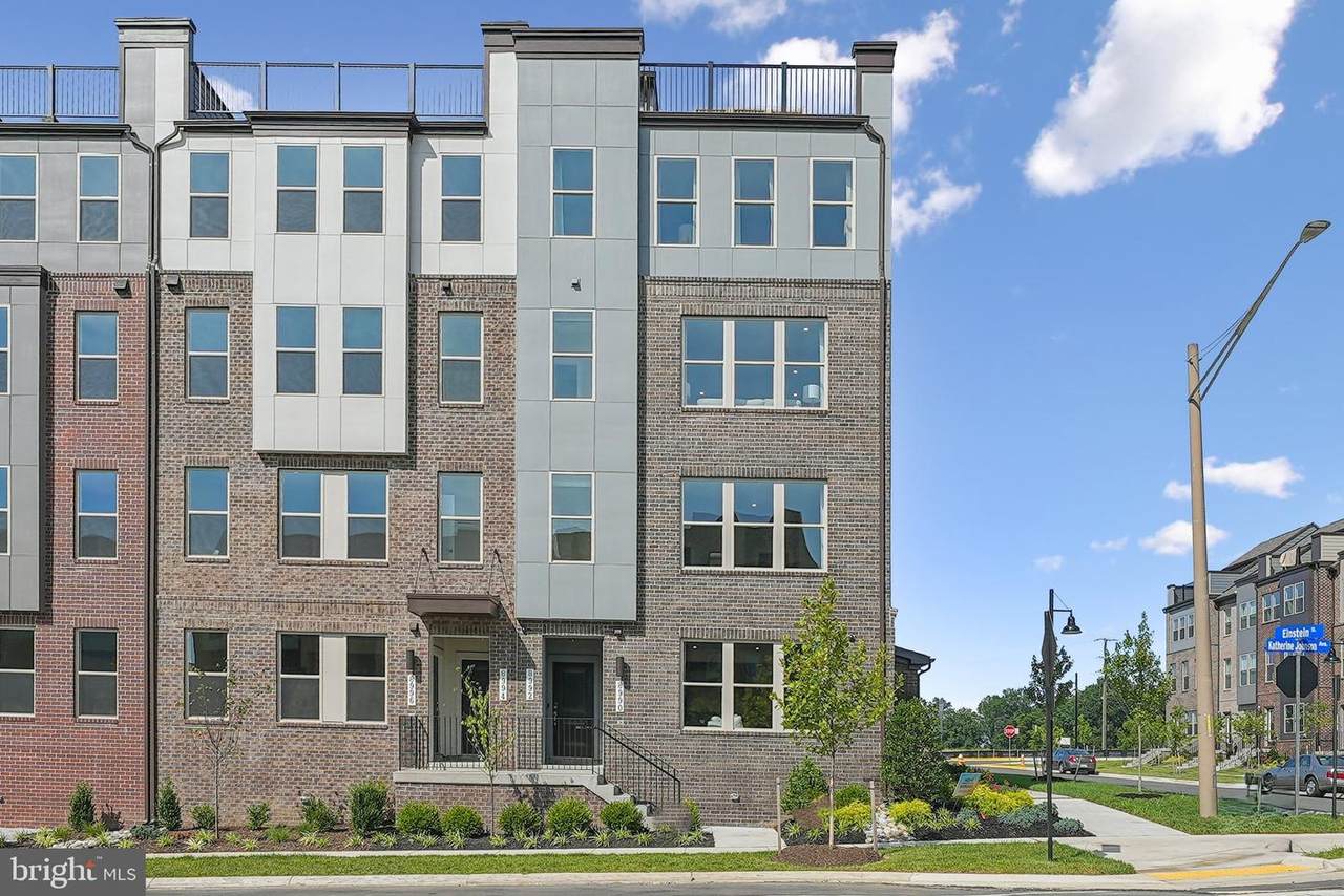 8680 Lovelace Street - Photo 1