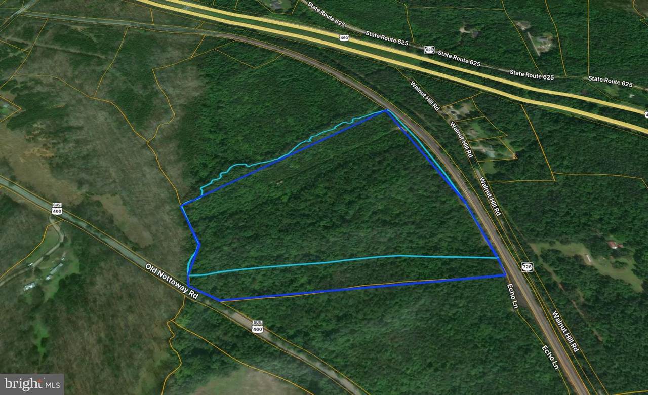 0 Old Nottoway Road - Photo 1