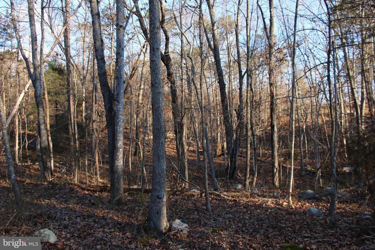  Lookout Drive - Photo 1