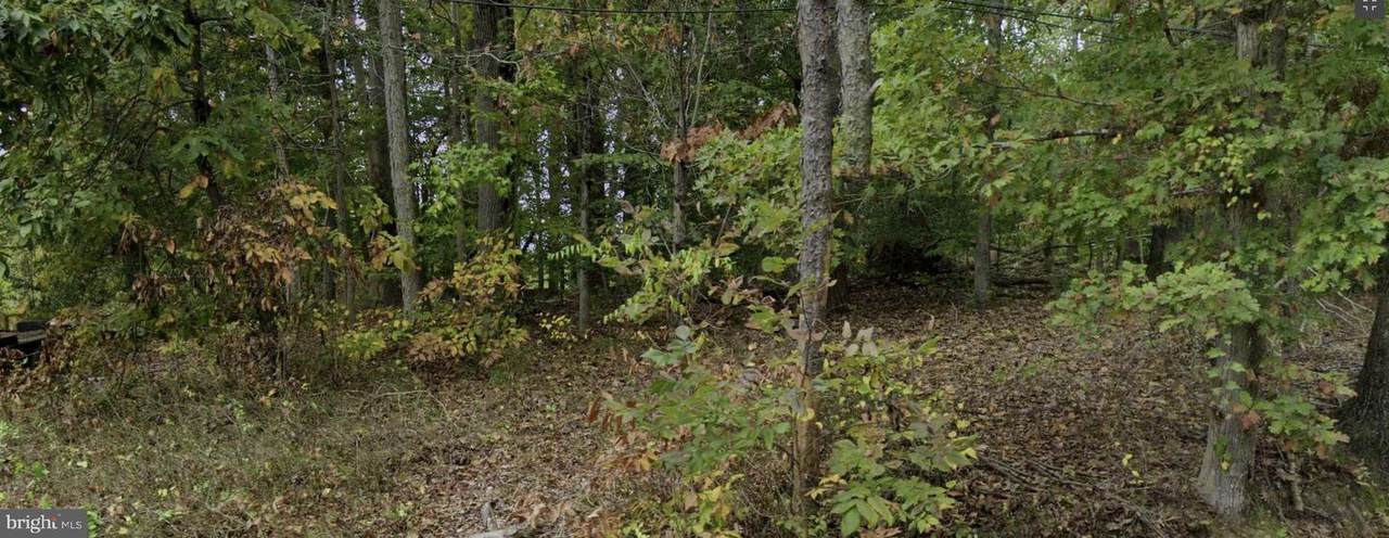 17214 Batestown Road - Photo 1