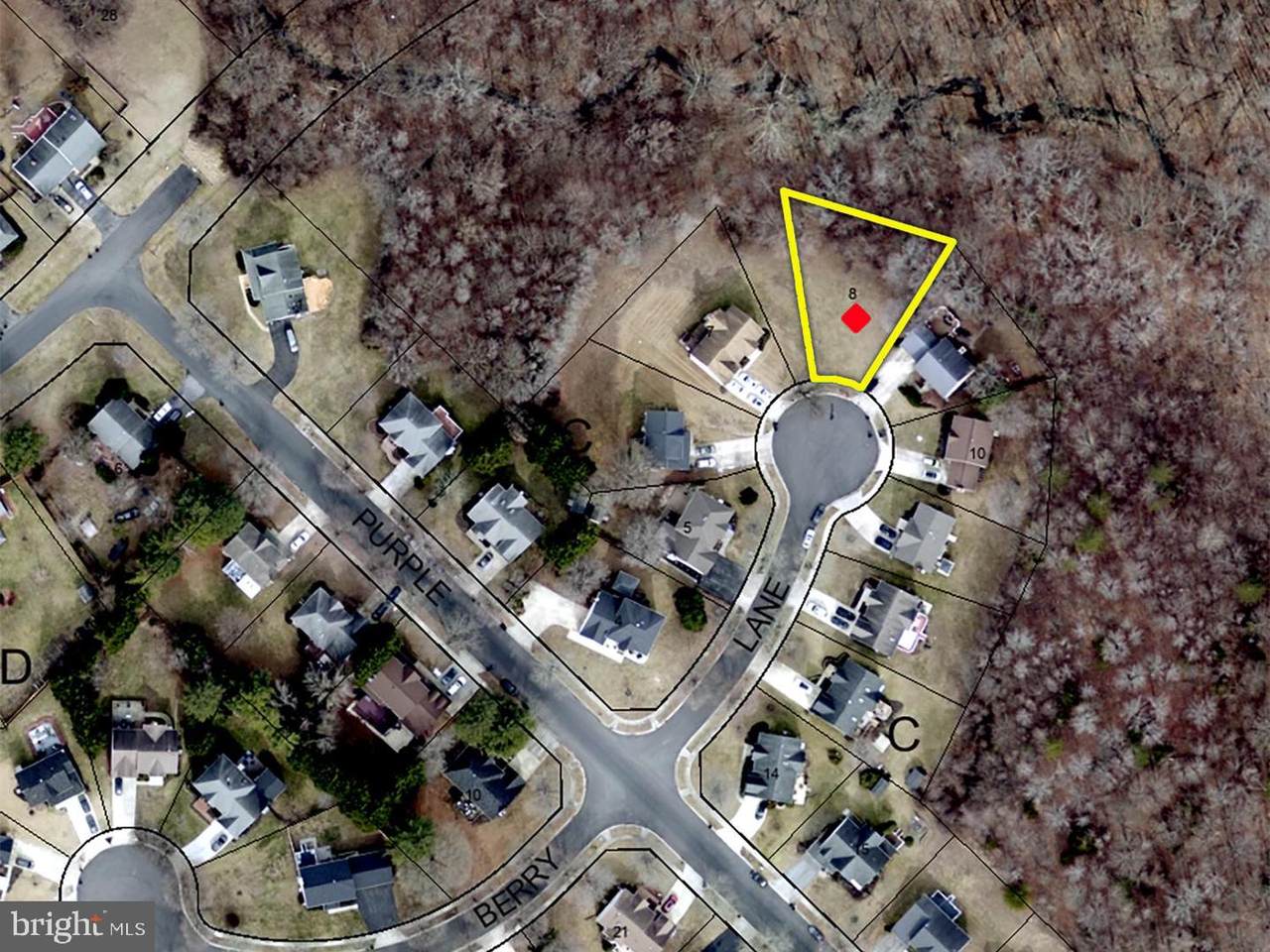 10301 Bunch Berry Lane - Photo 1