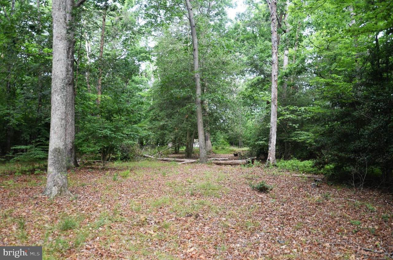 16106 Bealle Hill Road - Photo 1
