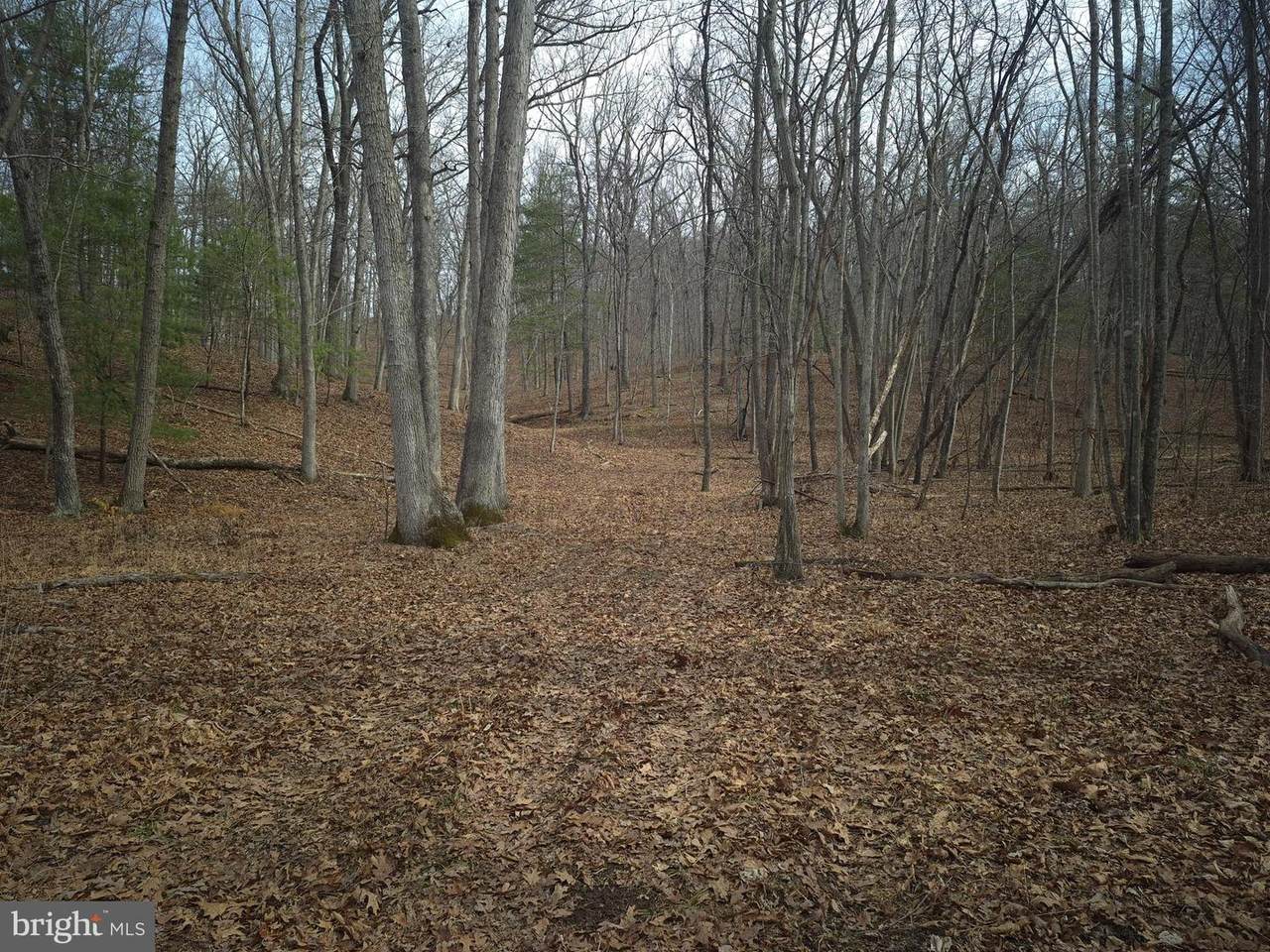  Lot 16 Hodges Lane - Photo 1
