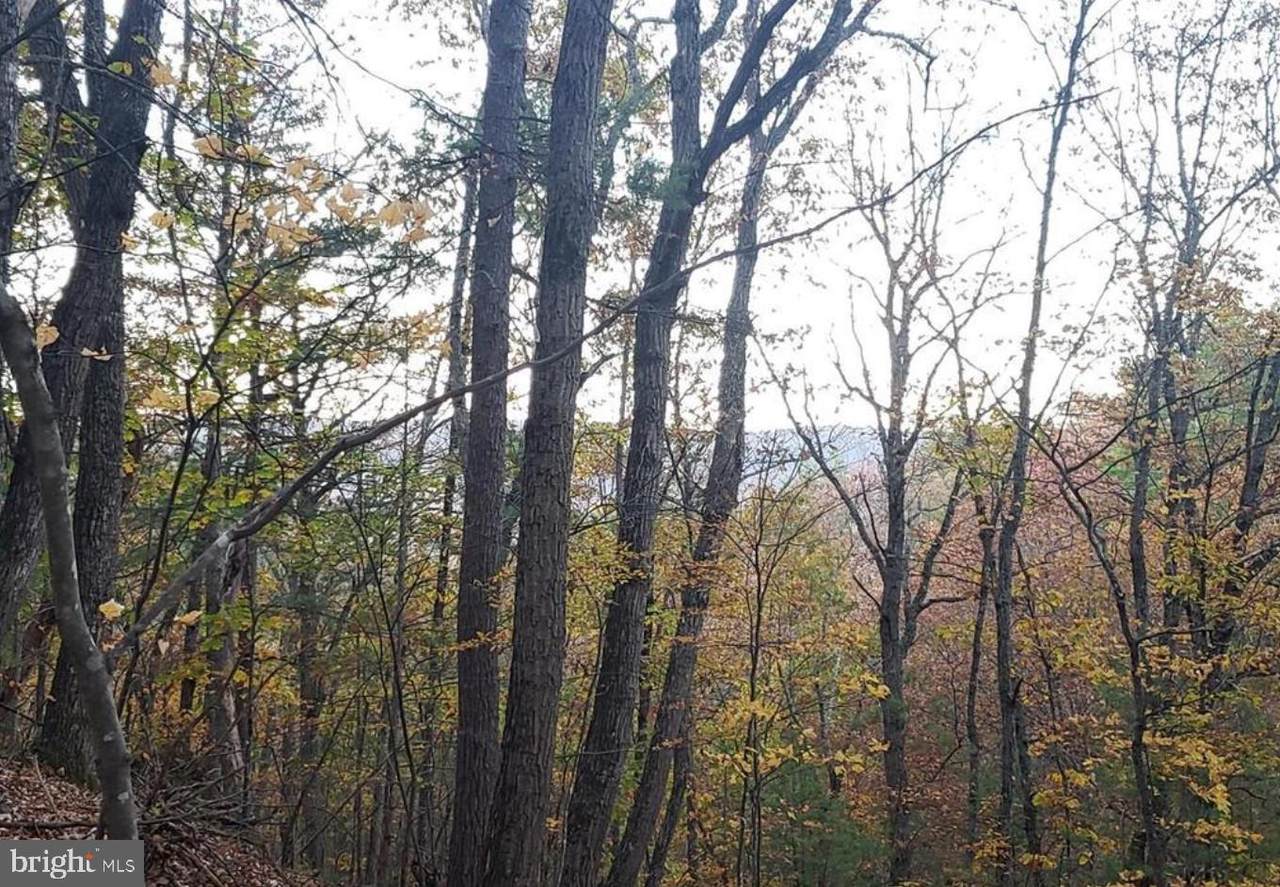 0 Fairway Avenue - Photo 1