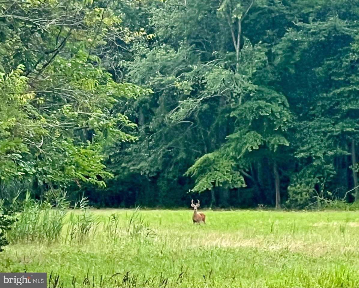 2600 Church Street - Photo 1