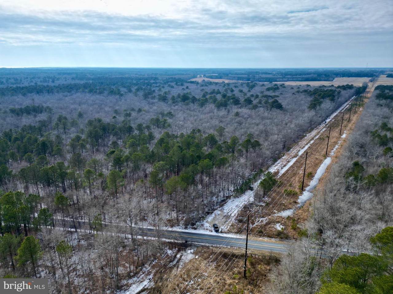 0 Holly Grove Road - Photo 1