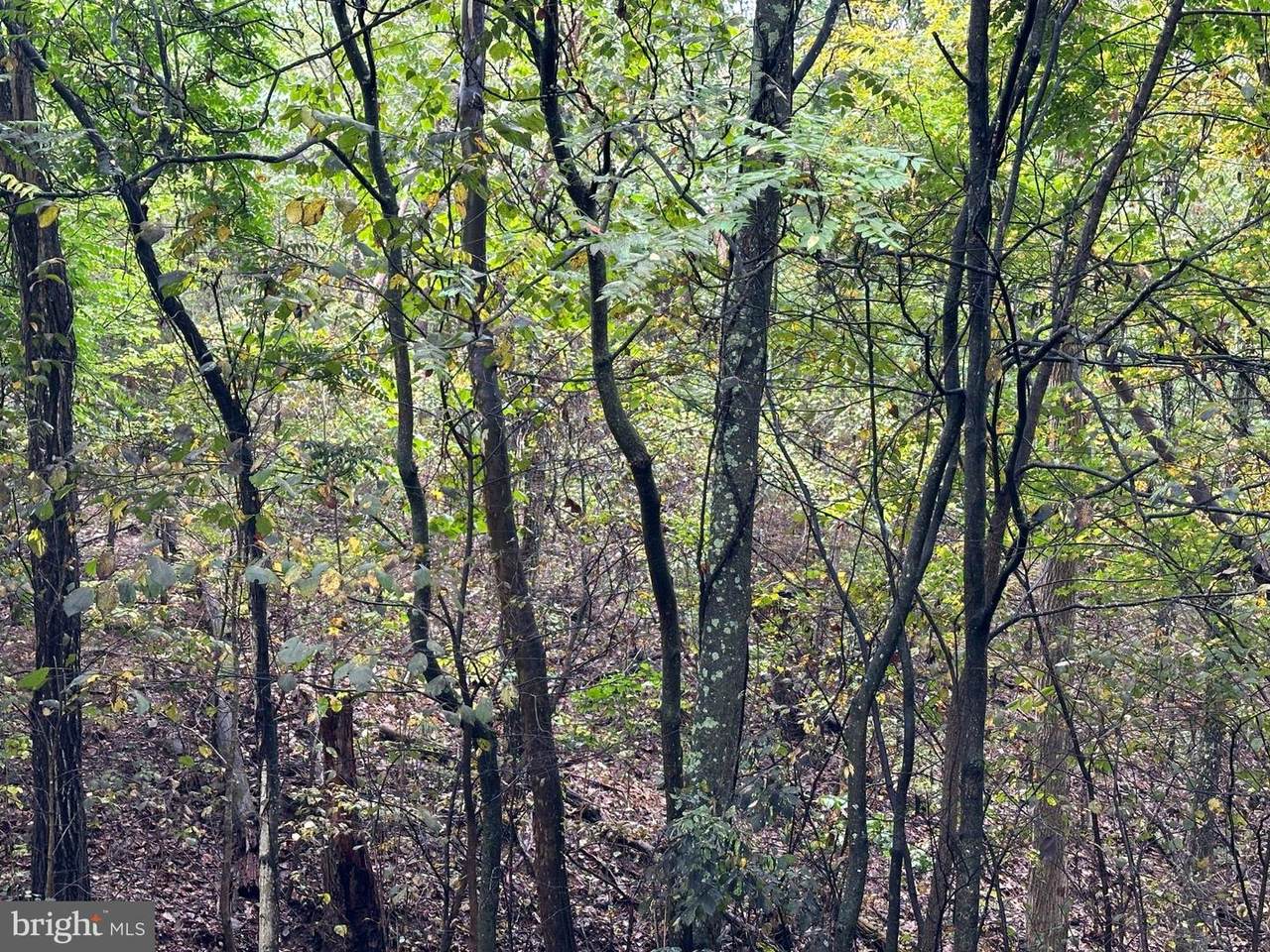 Lot 7 Oak Drive - Photo 1