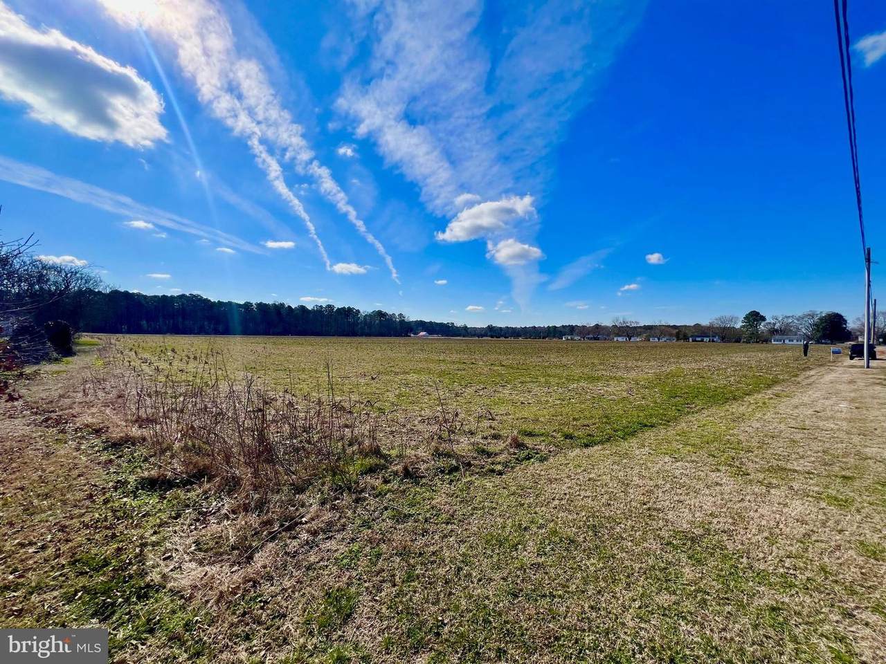 0 Levin Dashiell Road - Photo 1
