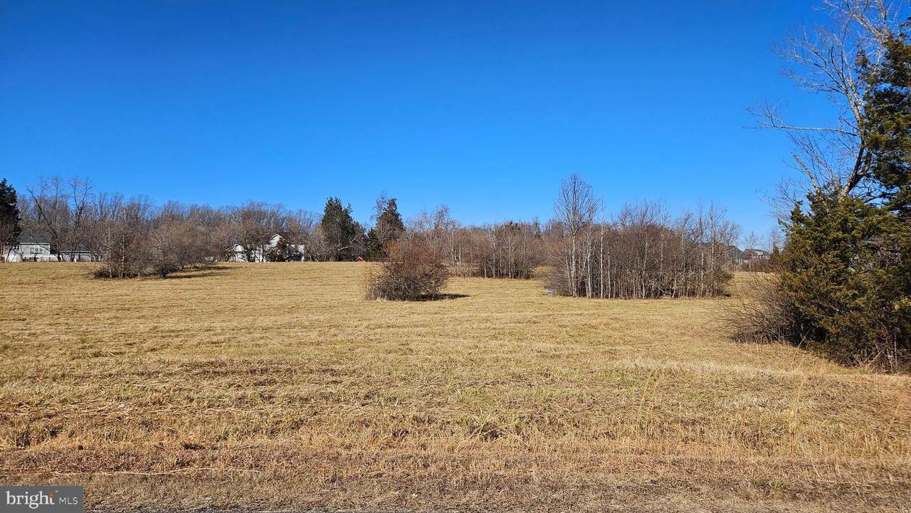64 Bridlewood Lane - Photo 1