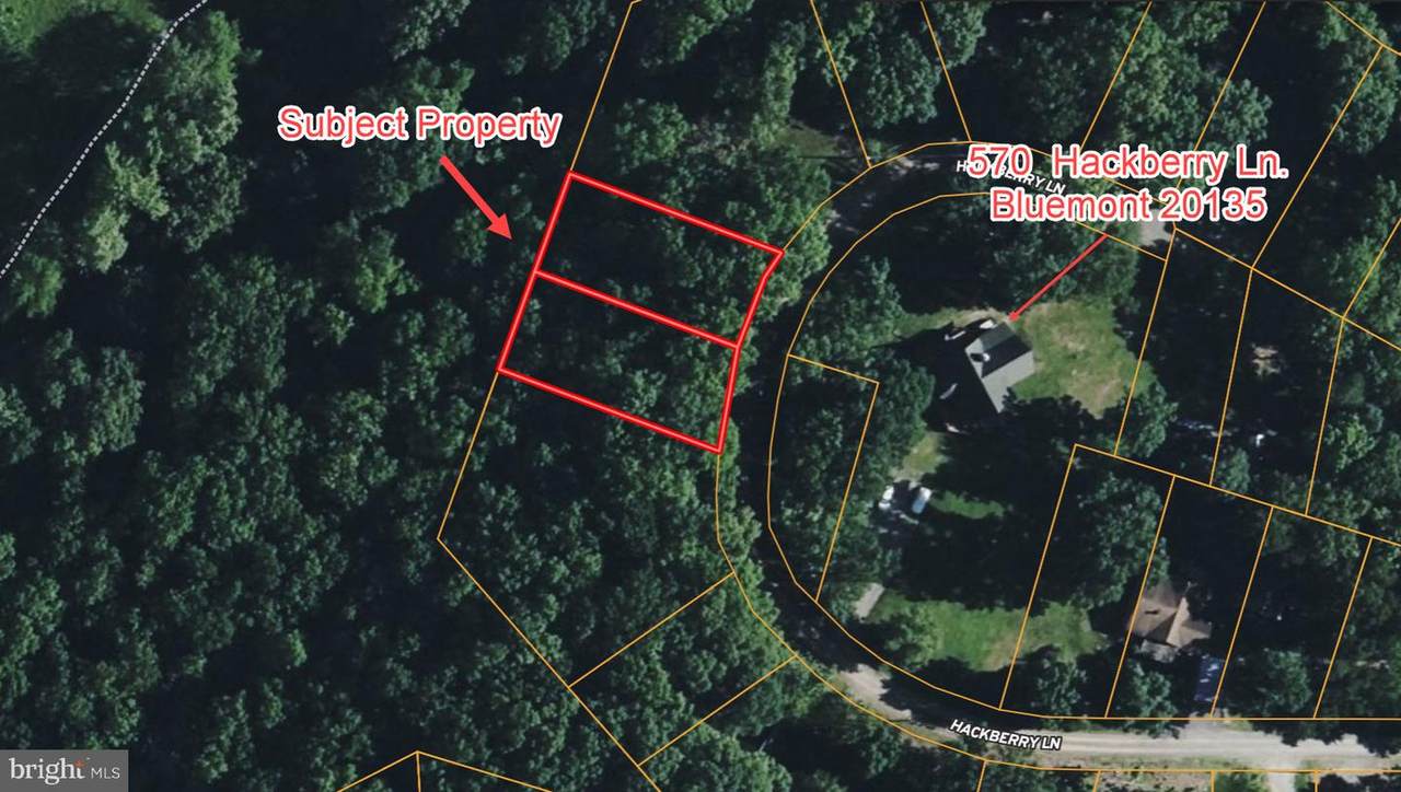 LOT 49 & Lot 50 Hackberry Ln - Photo 1