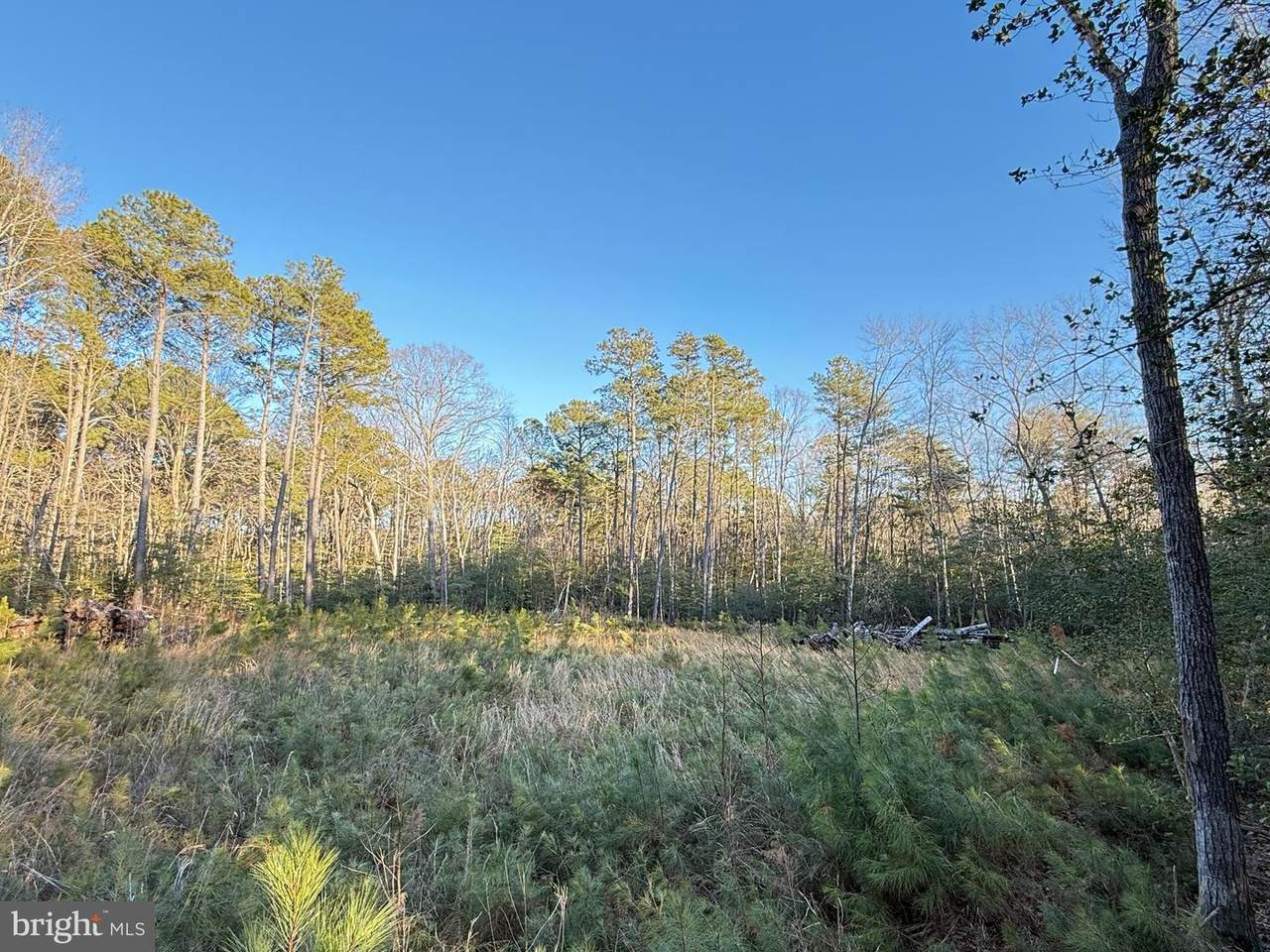 46080 Usher Lane - Photo 1