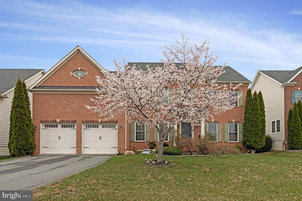 22437 Heron Neck Terrace - Photo 1