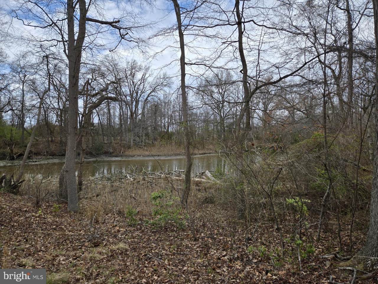 248 Harbor Lane - Photo 1