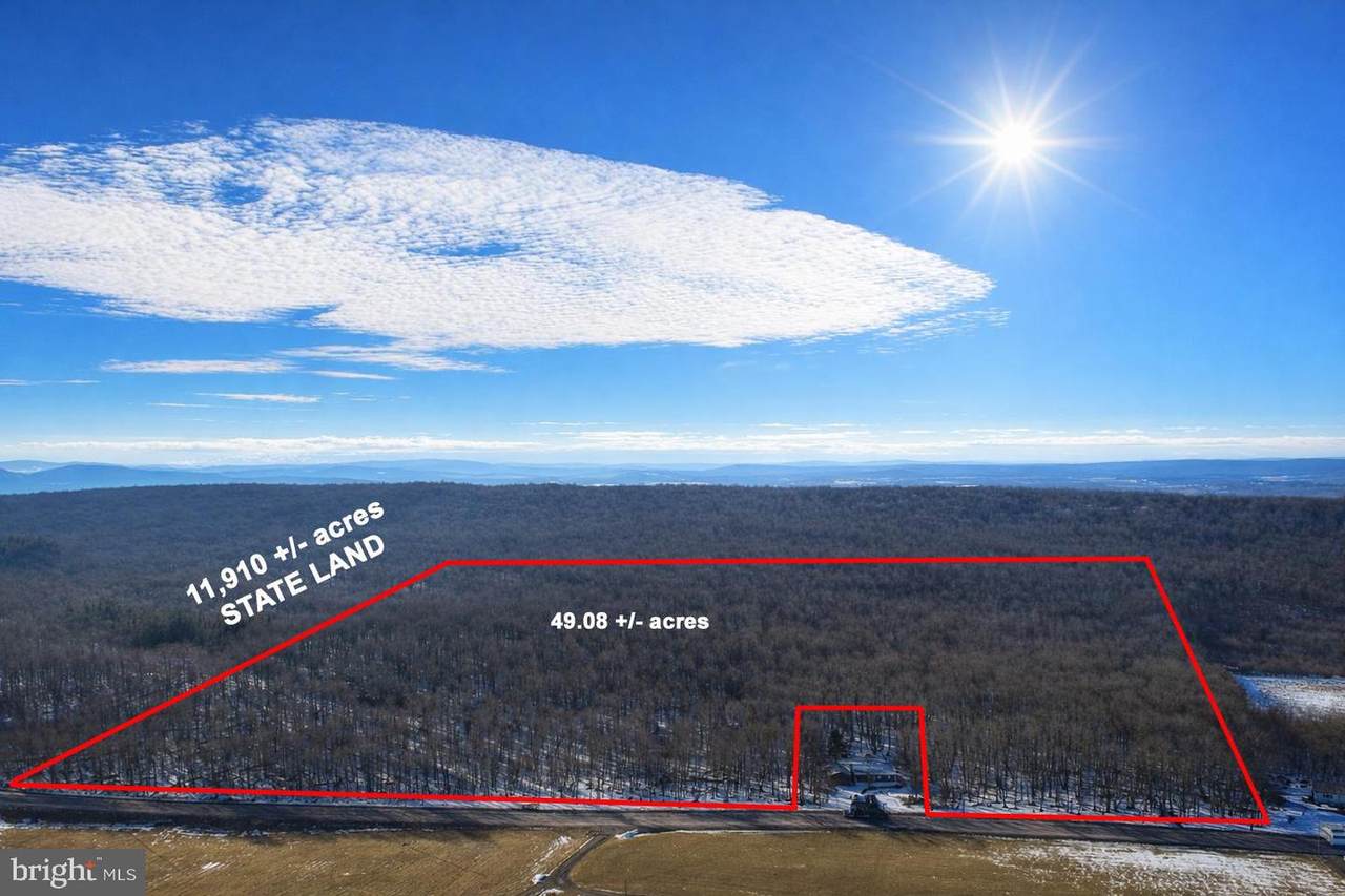 498 Acres Maryland Highway - Photo 1
