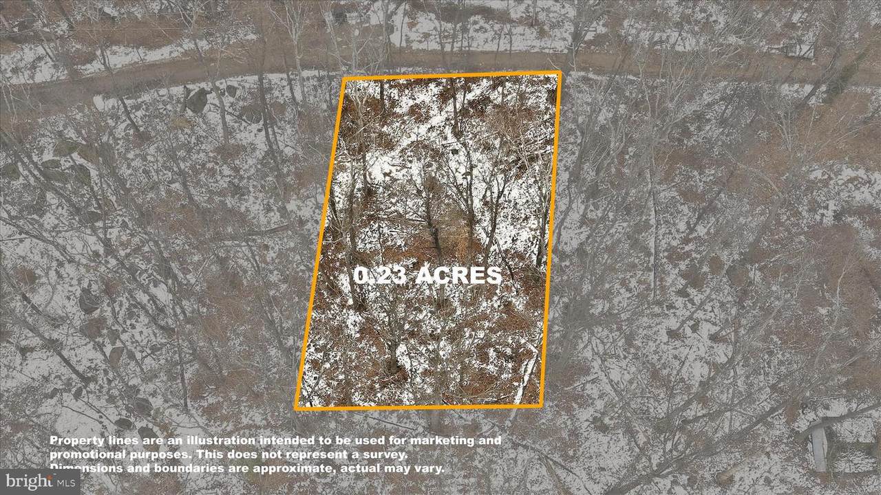 Lots 123 & 124 Tulip Tree Way - Photo 1