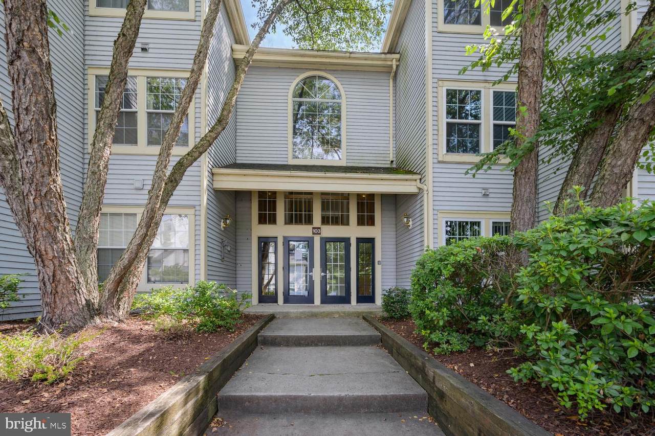 103 Sequoia Court - Photo 1