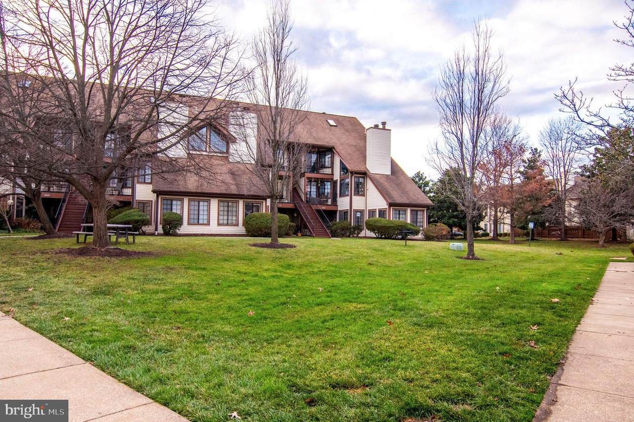 6003 Curtier Drive - Photo 1