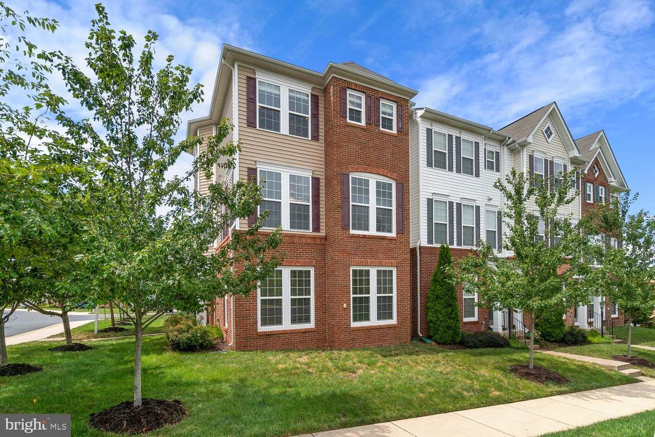 22664 Amberjack Square - Photo 1