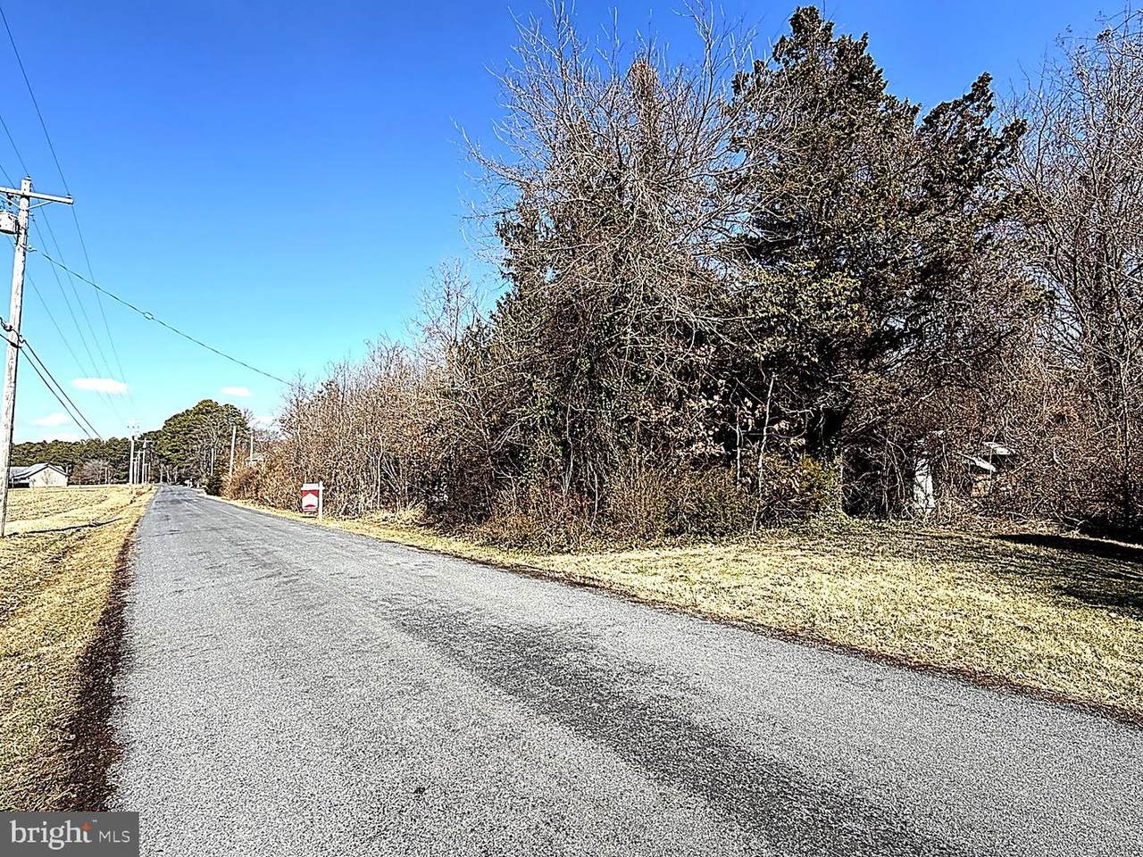 20910 Olen Mattingly Road - Photo 1