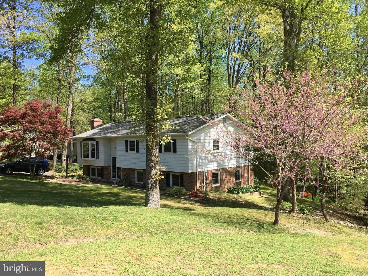 29910 Richard Circle - Photo 1